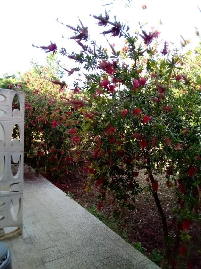 Villa Grazia فيستَ المظهر الخارجي الصورة